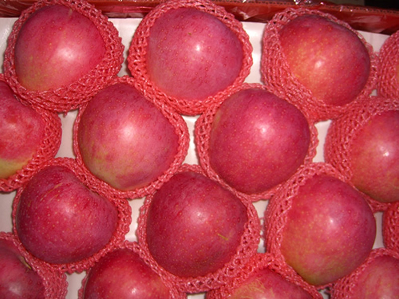 Qin Guan apple
