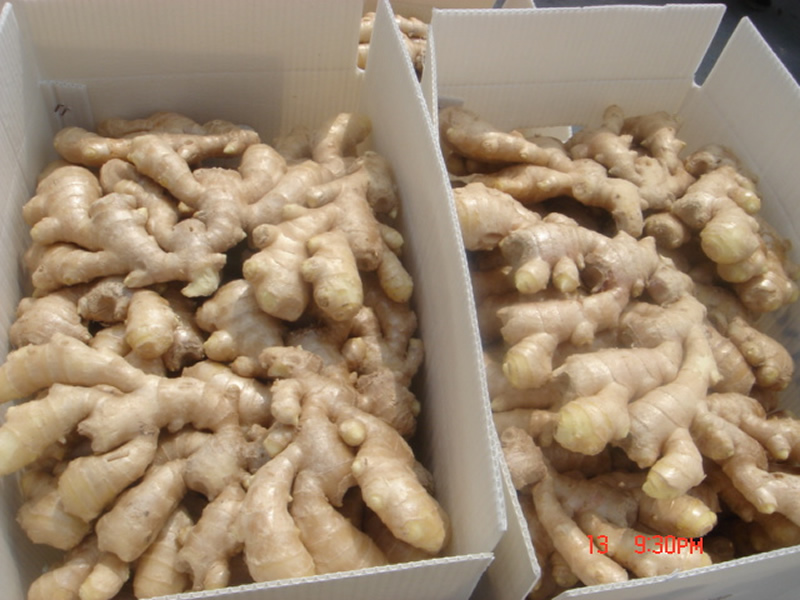 Dry ginger