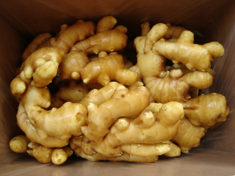 Fresh Ginger