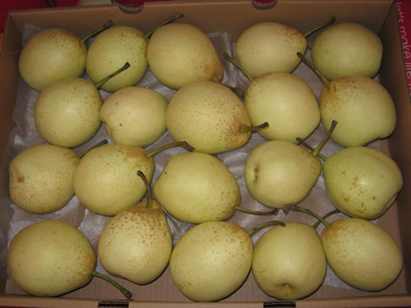 Ya pear