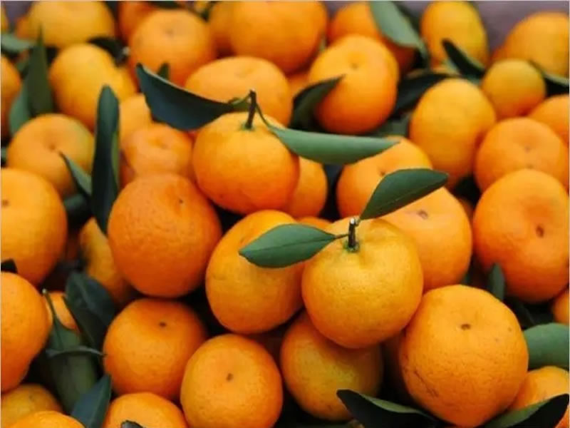 Tangerine