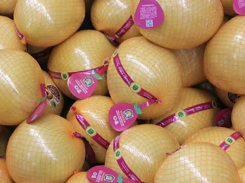 Pomelo